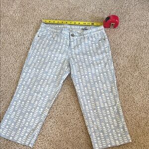 Anthropologie Idra  Floral Patterned Women's capris Sz 2